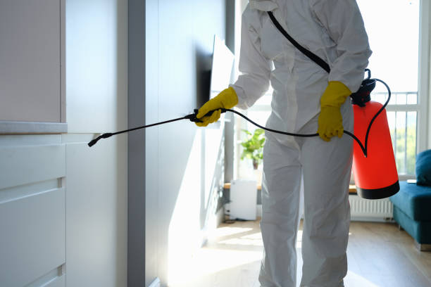 Best Mold Testing and Inspection Services in Saint Johns University, MN