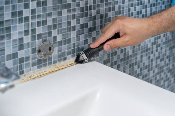 Reliable Saint Johns University, MN Mold Remediation Solutions