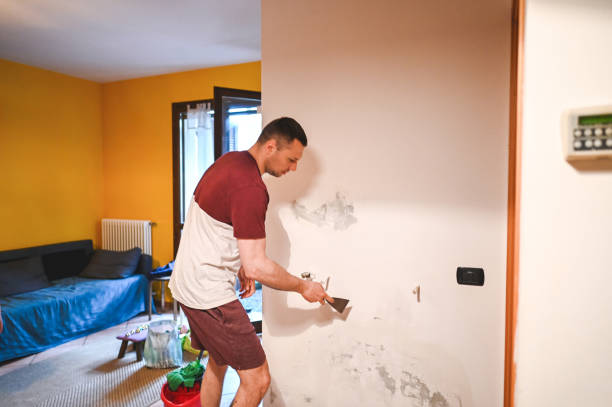 Best Residential Mold Remediation in Saint Johns University, MN